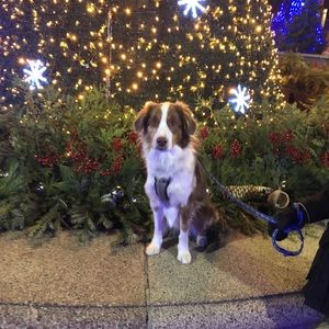 Meet your Posher, Katherine